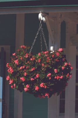 Ambassador Swivel Hooks - Pack 2