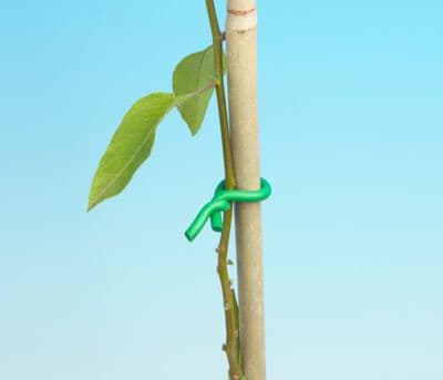 Ambassador Twist Tie - 6m