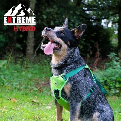 ANCOL EXTREME HYBRID HARNESS FIELD GREEN