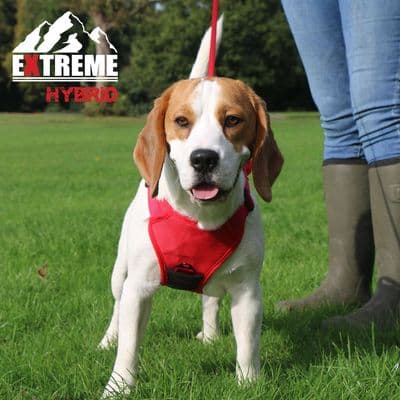 ANCOL EXTREME HYBRID HARNESS POPPY RED