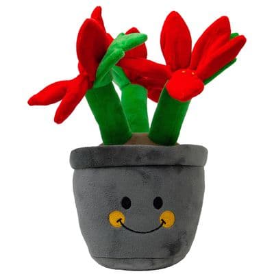 ANCOL HENRIETTA POINSETTIA