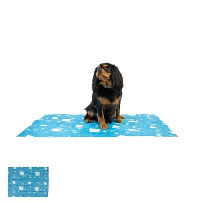 ANCOL ICE PAWS COOLING MAT