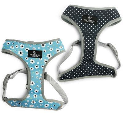 ANCOL SOHO PET HARNESS REVERSIBLE DAISY/POLKA DOT