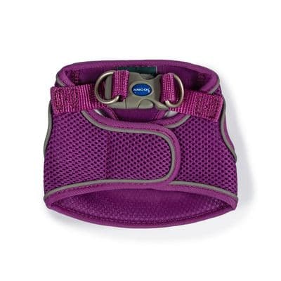 ANCOL VIVA STEP-IN HARNESS PURPLE