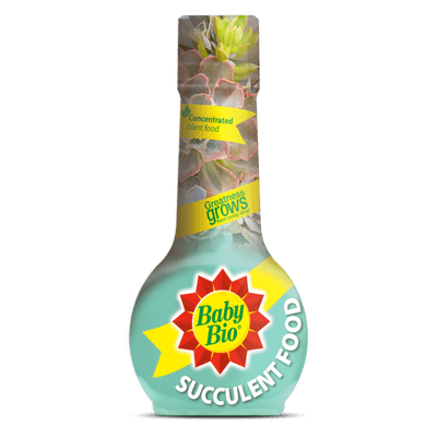 Baby Bio Succulent Plant Feed - 175ml