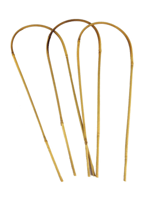 Bamboo Loop Support 60cm 3pk