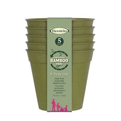 Bamboo Pot Sage Green 3in 7.5cm 5pk