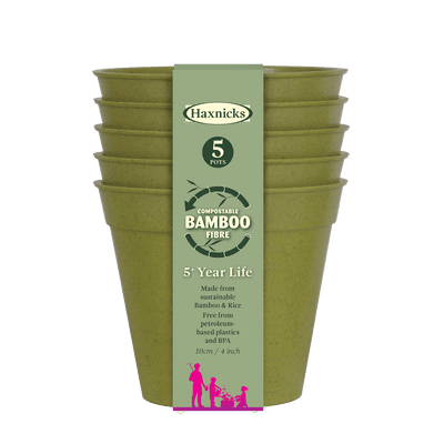 Bamboo Pot Sage Green 4in 10cm 5pk