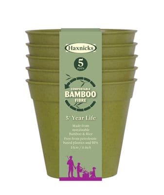 Bamboo Pot Sage Green 6in 15cm 5pk