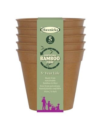 Bamboo Pot Terracotta 6in 15cm 5pk