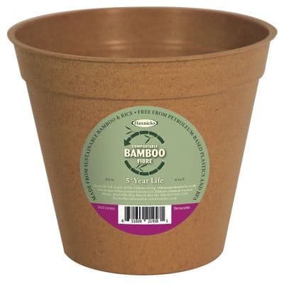 Bamboo Pot Terracotta 8in 20cm Single