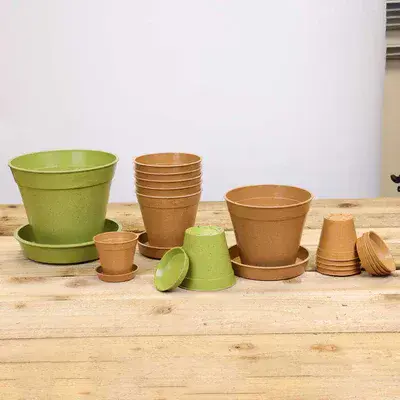 Bamboo Saucer Terracotta 4in 10cm 5pk