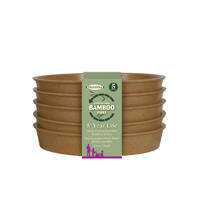 Bamboo Saucer Terracotta 5in 12.5cm 5pk