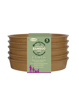Bamboo Saucer Terracotta 6in 15cm 5pk