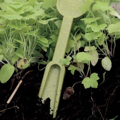 Bamboo Widger and Dibber