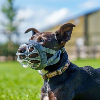 BASKERVILLE INVISA BASKET MUZZLE