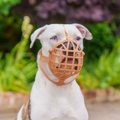 BASKERVILLE WIDE FIT BASKET MUZZLE