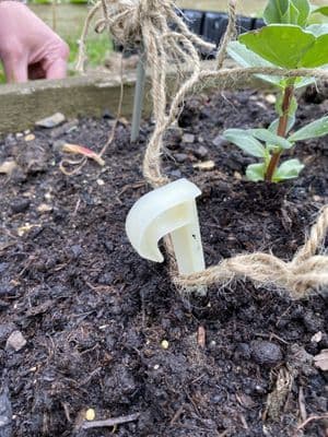 Biodegradable Garden Pegs 10pk