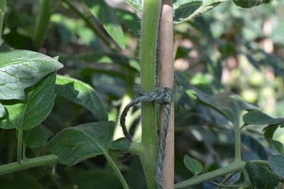 Biodegradable Green Jute Twine Ball 75m