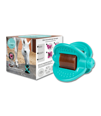 Bizzy Ball Aqua