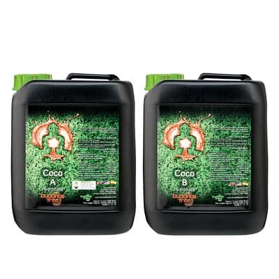 Buddha's Tree Coco 5L (A + B Complete Set)