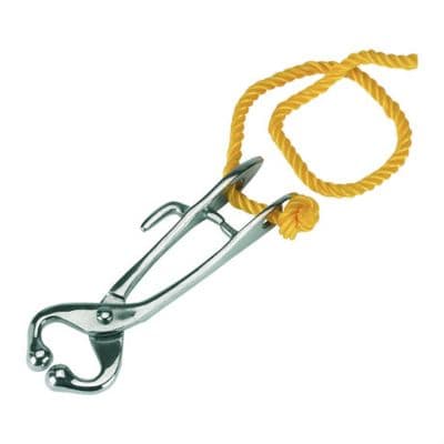 Budget Bullholder With Rope
