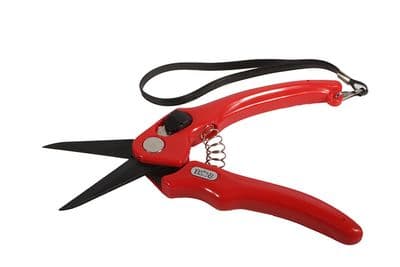 Burgon & Ball Super Sharp Footrot Shear - Red - Serrated