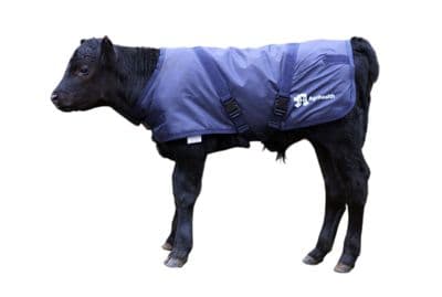 Calf Jacket - Medium