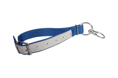 Calf Nylon Collar  - 40mm x 0.8m - Blue