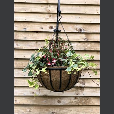 Cambridge Hanging Basket with Coco Liner 12in 30cm