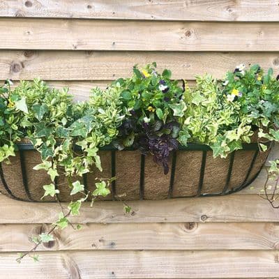 Cambridge Wall Trough with Coco Liner 24in 60cm