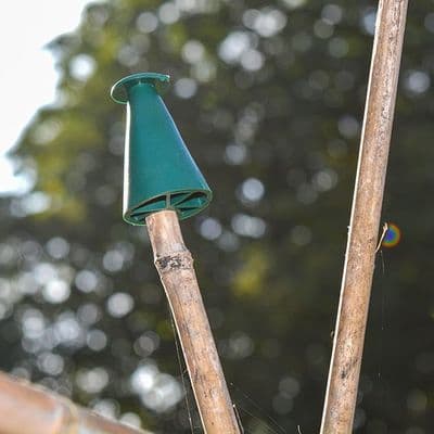 Cane Caps Multi Purpose 10pk