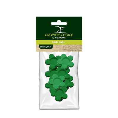 Cane Caps Small 10pk