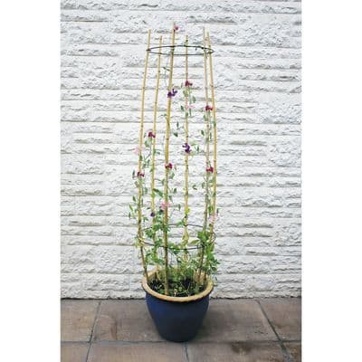 Cane Rings W50cm and W45cm 2pk