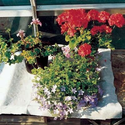 Capillary Moisture Mat 0.6m x 2.5m folded shelf pack