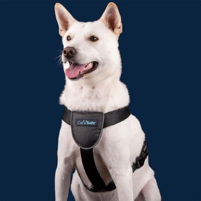 CARSAFE DOG TRAVEL HARNESS