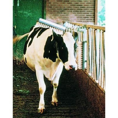 Cattle Brush