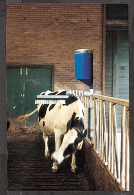 Cattle Brush with Dispenser