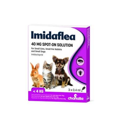 CHANELLE IMIDAFLEA 40GM SPOT-ON FOR SMALL PETS