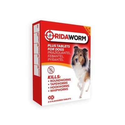CHANELLE RIDAWORM PLUS DOG TABLETS