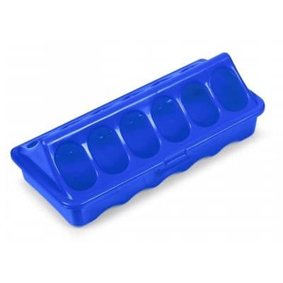Chick Feeder - 20cm - Blue