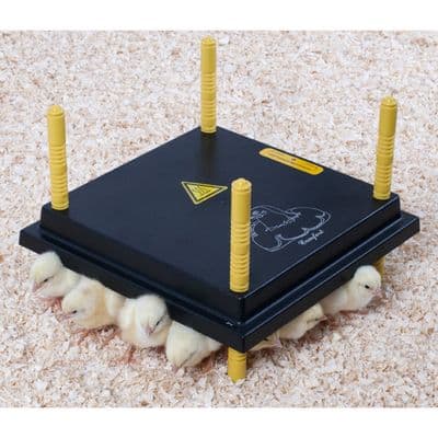 CHICKTEC COMFORT 30 STD UK