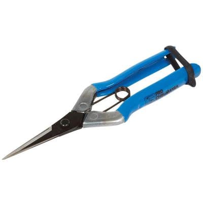 Chikamasa Scissors - TS5 Shears