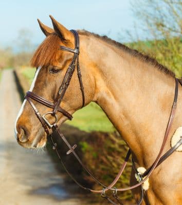 Classic Padded Flash Bridle Brown Pony