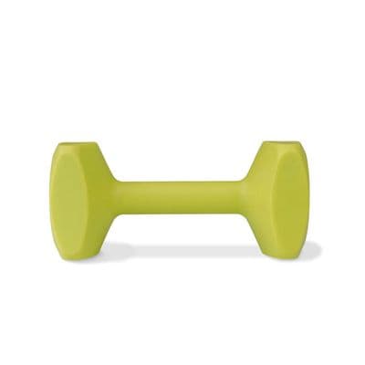 COACHI TRAINING DUMBBELL