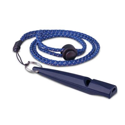 COACHI TRAINING WHISTLE
