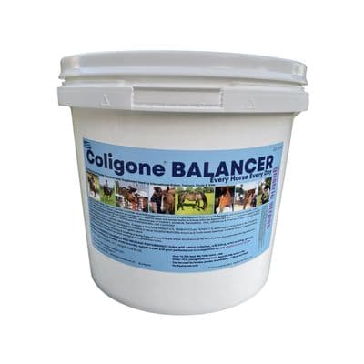 COLIGONE BALANCER POWDER