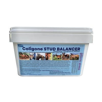 COLIGONE STUD BALANCER
