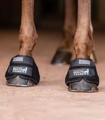 Cooling Hoof Boot Medium (pair)