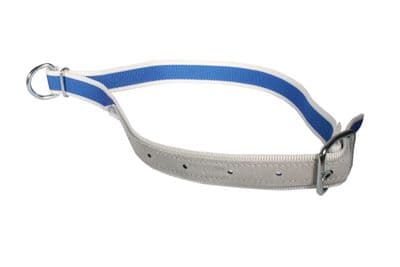Cow Nylon Collar  - 40mm x 1.3m - Blue/ White